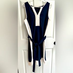 Ann Taylor Dress